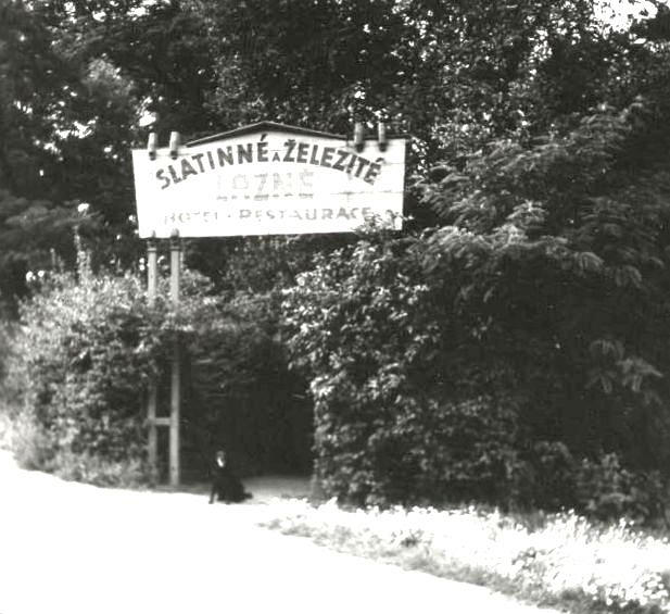 Lázeňský park - pohled od nádraží