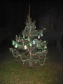 Rozsvícení vánočního stromu - 30.11.2008
