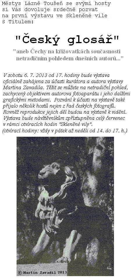 Český glosář 2013